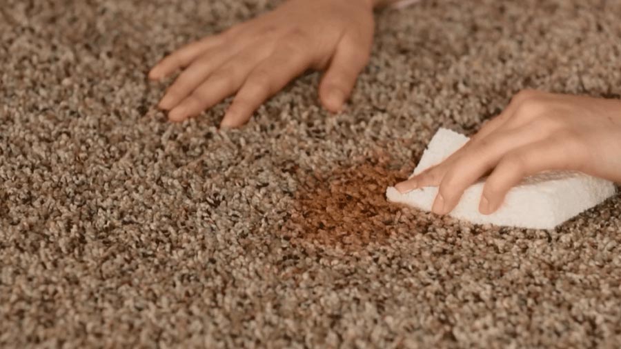 spot on carpet cleaning