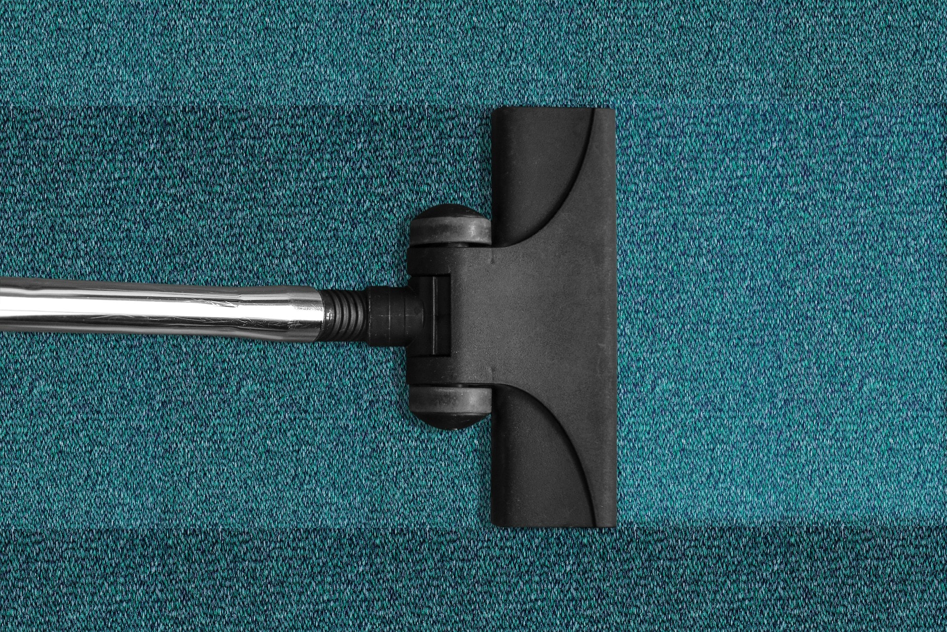 Vacuum Cleaner Cleaning Carpet in Ellicott City